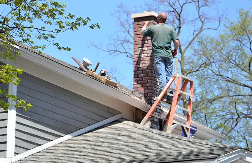 Chimney & Fireplace Inspections Services in Glasgow, DE